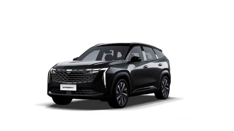 STARRAY, 1.5 L, 174 CP, 7DCT - Echipare GK